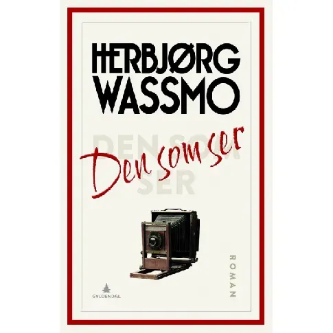 Bilde av best pris Den som ser av Herbjørg Wassmo - Skjønnlitteratur