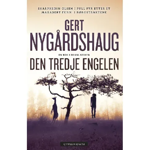 Bilde av best pris Den tredje engelen - En krim og spenningsbok av Gert Nygårdshaug