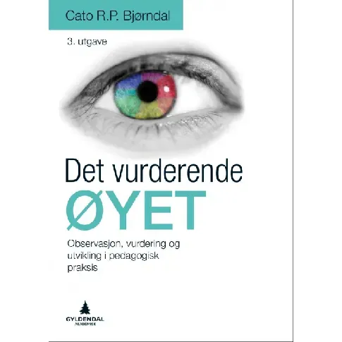 Bilde av best pris Det vurderende øyet - En bok av Cato R.P. Bjørndal