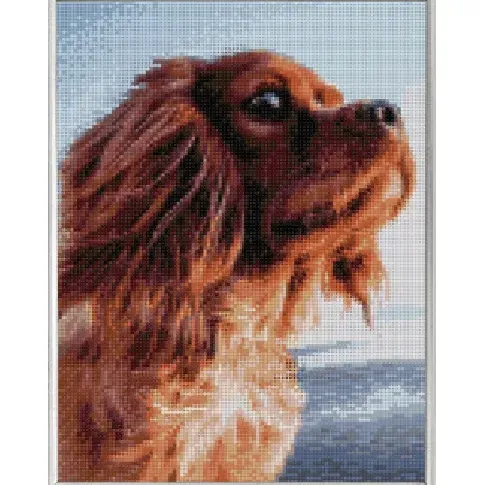 Bilde av best pris Diamond Painting Hund Strikking, pynt, garn og strikkeoppskrifter