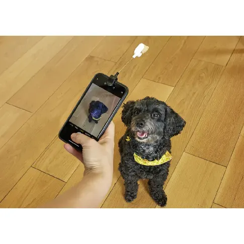 Bilde av best pris Dog Treat Selfie Clip (DIG01) - Gadgets