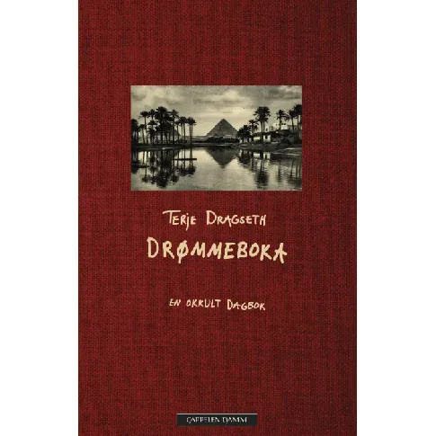 Bilde av best pris Drømmeboka av Terje Dragseth - Skjønnlitteratur