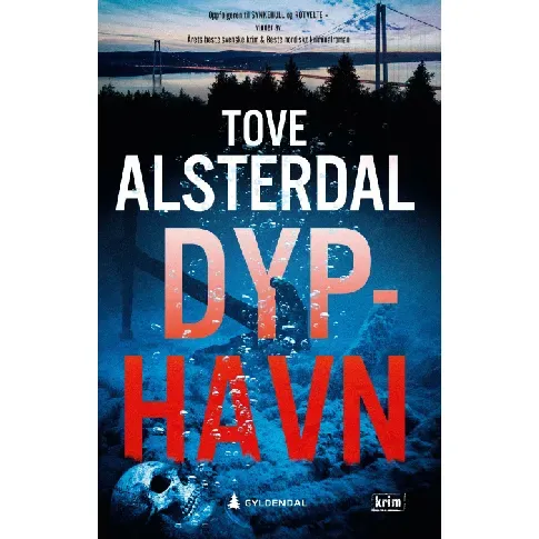 Bilde av best pris Dyphavn - En krim og spenningsbok av Tove Alsterdal
