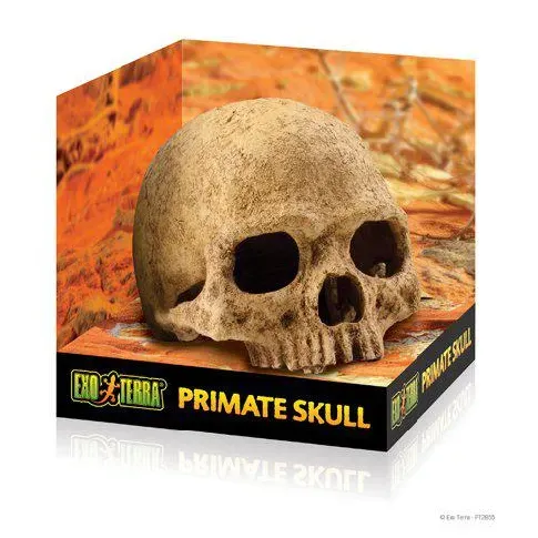 Bilde av best pris EXOTERRA - Cave Skull - (222.2055) - Kjæledyr og utstyr