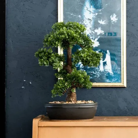 Bilde av best pris Emerald Artificial Ficus Mini Bonsai i brun potte 43 cm - Kunstig flora - Kunstig plante blomst
