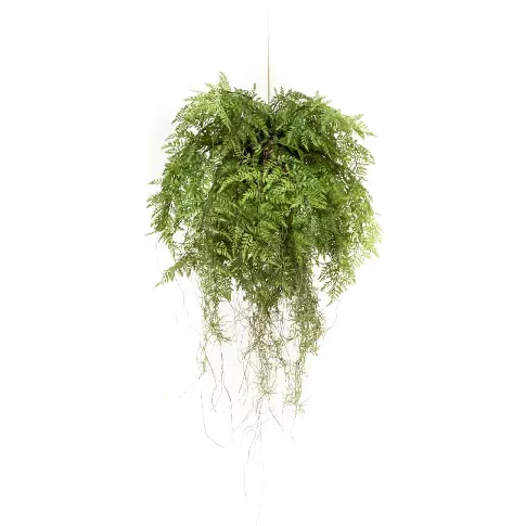 Bilde av best pris Emerald Kunstig hengende bregne med røtter 55 cm - Kunstig flora - Kunstig plante blomst