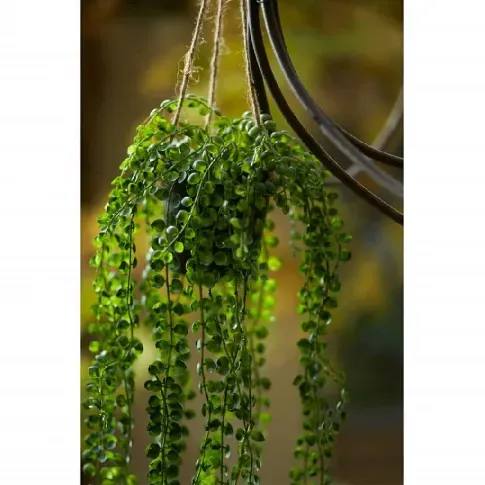 Bilde av best pris Emerald Kunstig klatrefiken i potte 60 cm - Kunstig flora - Kunstig plante blomst
