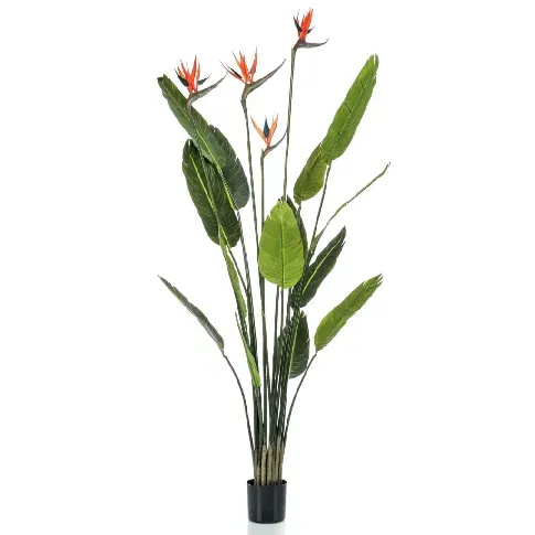 Bilde av best pris Emerald Kunstig plante Strelitzia med 4 blomster i potte 150 cm - Kunstig flora - Kunstig plante blomst