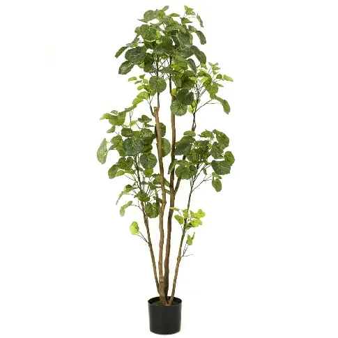 Bilde av best pris Emerald Kunstig polysciastre i potte 160 cm - Kunstig flora - Kunstig plante blomst