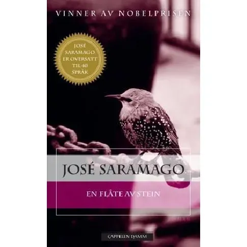 Bilde av best pris En flåte av stein av José Saramago - Skjønnlitteratur