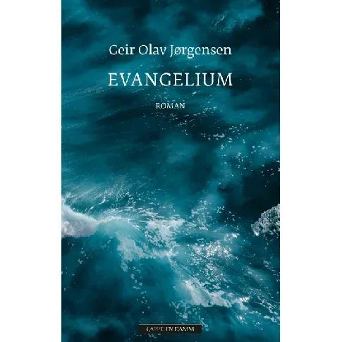 Bilde av best pris Evangelium av Geir Olav Jørgensen - Skjønnlitteratur