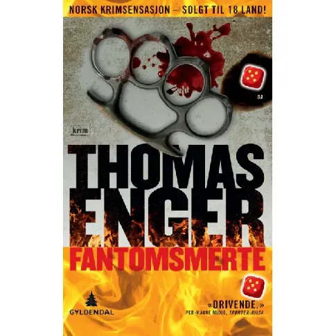 Bilde av best pris Fantomsmerte - En krim og spenningsbok av Thomas Enger