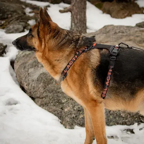 Bilde av best pris Feel Active Outdoor Hundsele med Lomme Svart (M) Hund - Hundeutstyr - Hundeseler