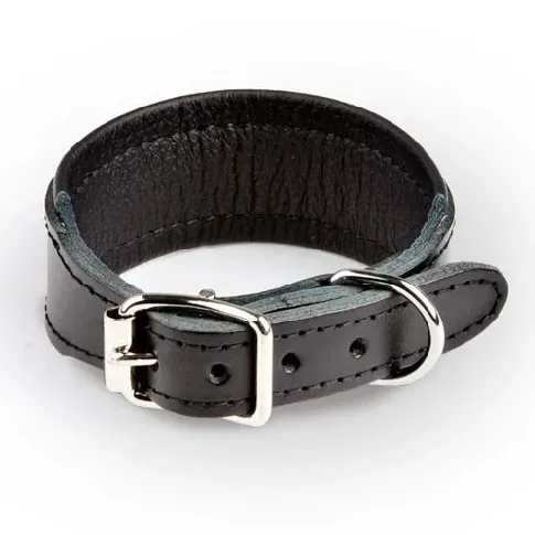 Bilde av best pris Feel Leather Basic Wide Halsbånd Svart (3,5 x 40 cm) Hund - Hundeutstyr - Hundehalsbånd