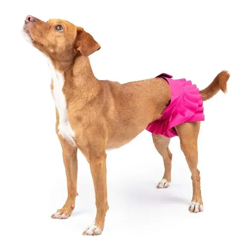 Bilde av best pris FinNero Ballerina Tispetruse Rosa (L) Hund - Hundehelse - Løpetid & Tispetruser