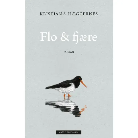 Bilde av best pris Flo & fjære av Kristian S. Hæggernes - Skjønnlitteratur