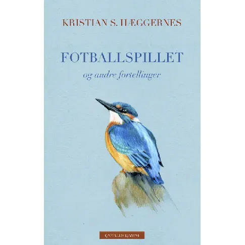 Bilde av best pris Fotballspillet og andre fortellinger av Kristian S. Hæggernes - Skjønnlitteratur