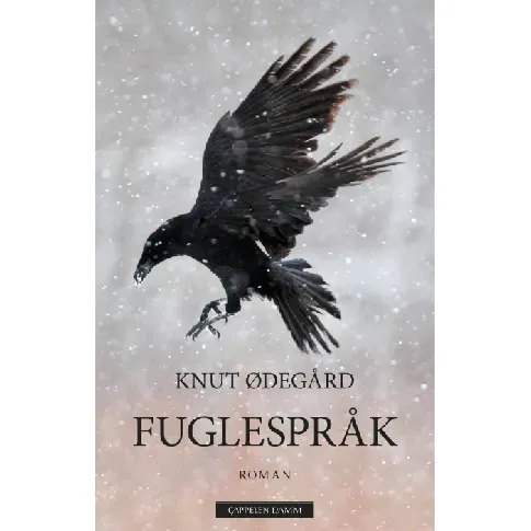 Bilde av best pris Fuglespråk av Knut Ødegård - Skjønnlitteratur