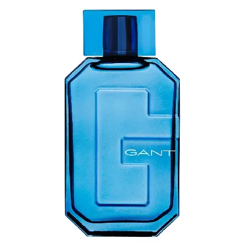 Bilde av best pris GANT Gant Eau De Toilette 100ml Mann - Dufter - Parfyme