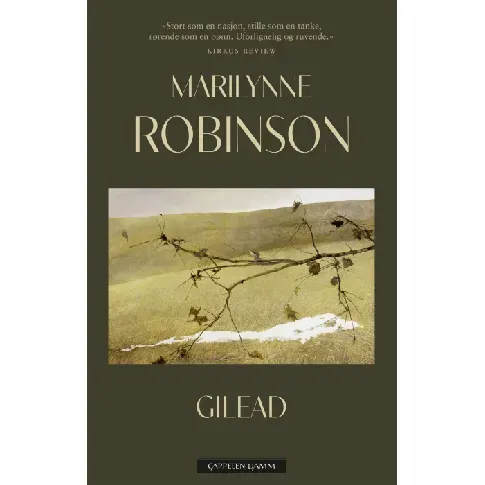 Bilde av best pris Gilead av Marilynne Robinson - Skjønnlitteratur