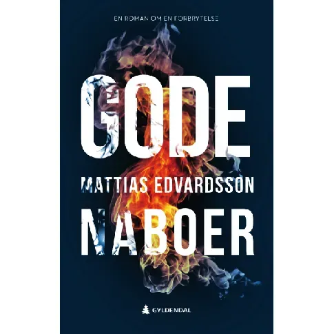 Bilde av best pris Gode naboer - En krim og spenningsbok av Mattias Edvardsson