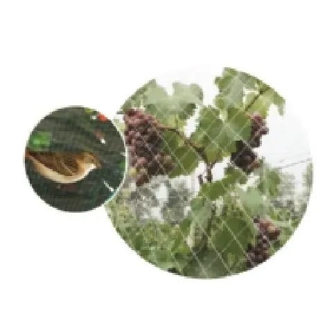 Bilde av best pris HOME It® fuglenet 15×15 mm x 2×10 meter Hagen - Tilbehør til hagen - Diverse