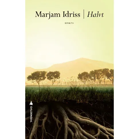 Bilde av best pris Halvt av Marjam Idriss - Skjønnlitteratur
