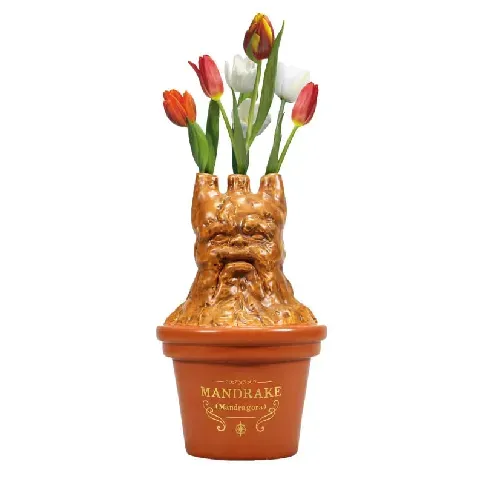 Bilde av best pris Harry Potter - Mandrake Shaped Vase (5261TTVHP07) - Fan-shop