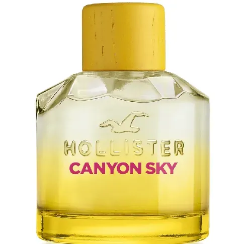 Bilde av best pris Hollister - Canyon Sky For Her EDP 100 ml - Skjønnhet
