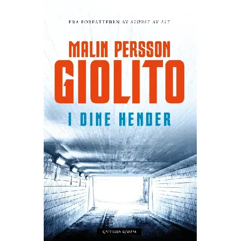 Bilde av best pris I dine hender - En krim og spenningsbok av Malin Persson Giolito