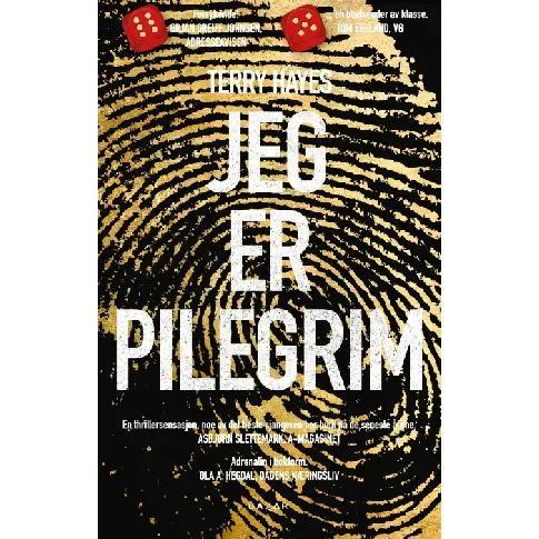 Bilde av best pris Jeg er Pilegrim - En krim og spenningsbok av Terry Hayes