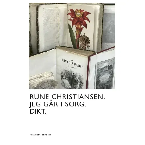 Bilde av best pris Jeg går i sorg av Rune Christiansen - Skjønnlitteratur