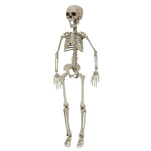 Bilde av best pris Joker - Halloween - Skeleton 76 cm (90091) - Leker