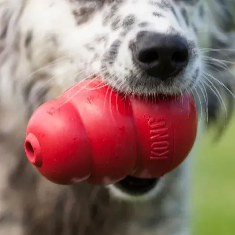 Bilde av best pris KONG Tyggeleke Original rød (L) Hund - Hundeleker - Aktivitetsleker