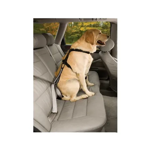 Bilde av best pris KURGO - Safety strap for the car seat belt - (81314601187) - Kjæledyr og utstyr