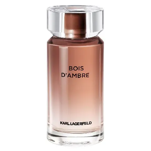Bilde av best pris Karl Lagerfeld Bois D'Ambre Eau De Toilette 100ml Mann - Dufter - Parfyme