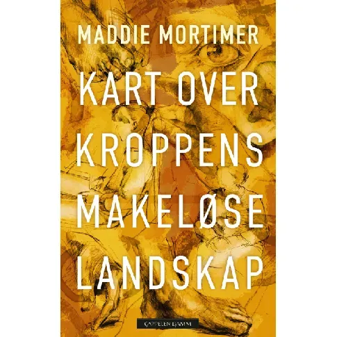 Bilde av best pris Kart over kroppens makeløse landskap av Maddie Mortimer - Skjønnlitteratur