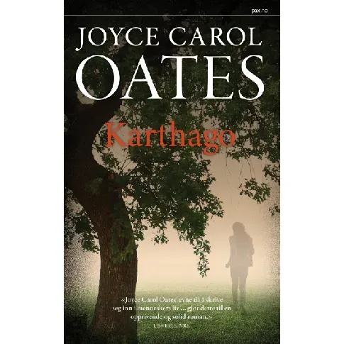 Bilde av best pris Karthago av Joyce Carol Oates - Skjønnlitteratur