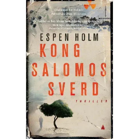 Bilde av best pris Kong Salomos sverd - En krim og spenningsbok av Espen Holm
