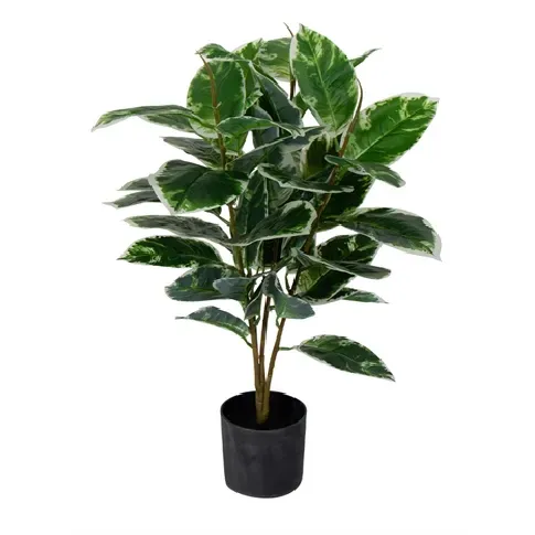 Bilde av best pris Kunstgummitre - Høyde 70 cm - Spraglete blader - Vedlikeholdsfri plante Innredning , Dekorasjon  , Kunstige planter