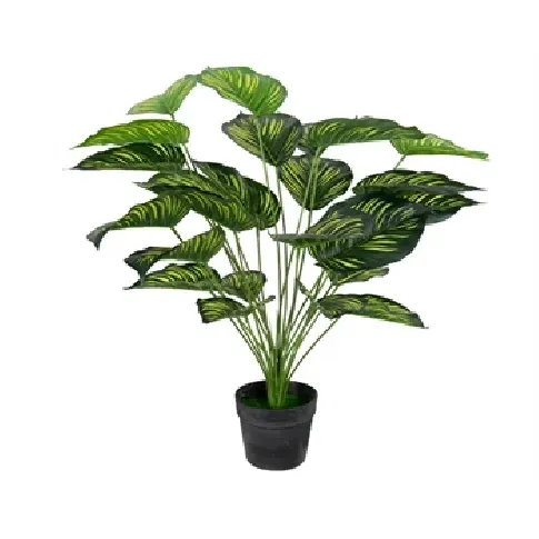 Bilde av best pris Kunstig plante 70 cm - Calathea med store vakre grønne blader Innredning , Dekorasjon  , Kunstige planter