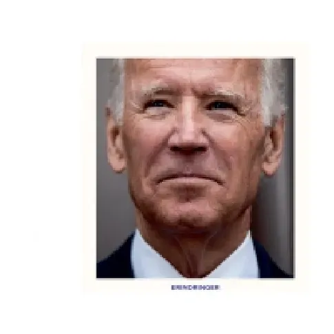 Bilde av best pris Løfter for livet | Joe Biden | Språk: Dansk Bøker - Paperbacks