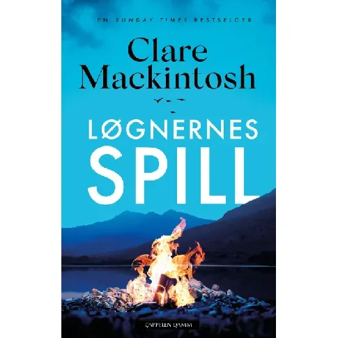 Bilde av best pris Løgnernes spill - En krim og spenningsbok av Clare Mackintosh