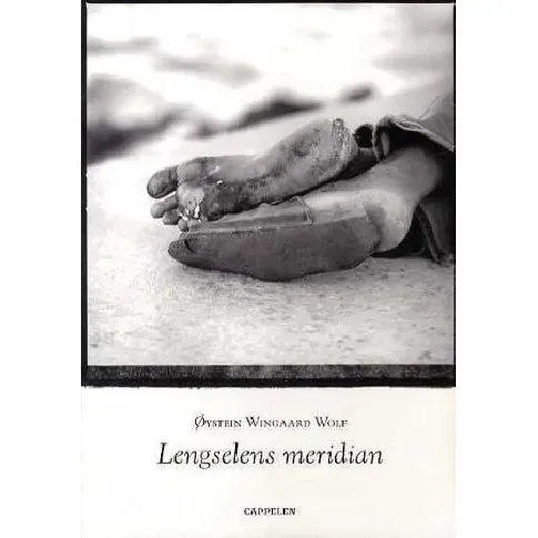 Bilde av best pris Lengselens meridian av Øystein Wingaard Wolf - Skjønnlitteratur