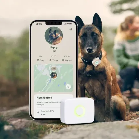 Bilde av best pris LilDog GPS-Tracker til Hund Hund - Hundeutstyr - GPS til Hund