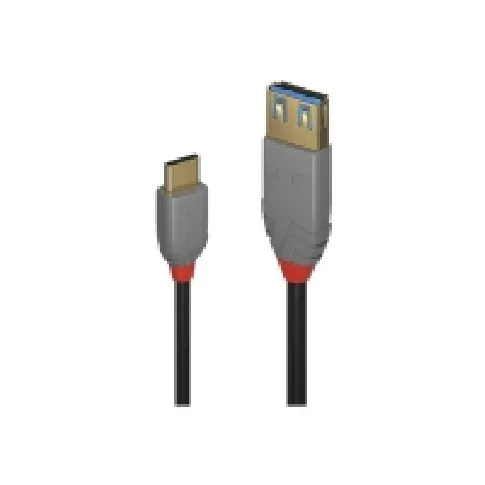 Bilde av best pris Lindy Black Line - USB-kabel - 24 pin USB-C (hann) til USB-type A (hunn) - USB 3.1 Gen 2 - 15 cm PC tilbehør - Kabler og adaptere - Datakabler