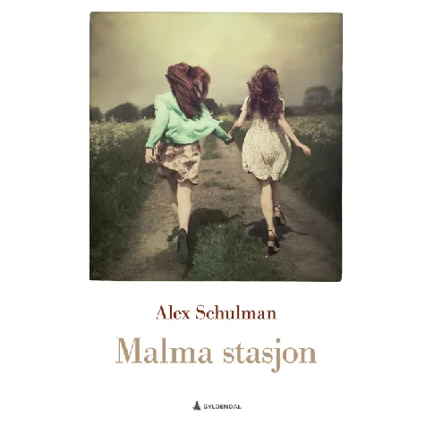 Bilde av best pris Malma stasjon av Alex Schulman - Skjønnlitteratur