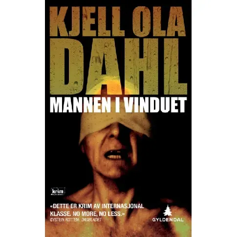 Bilde av best pris Mannen i vinduet - En krim og spenningsbok av Kjell Ola Dahl