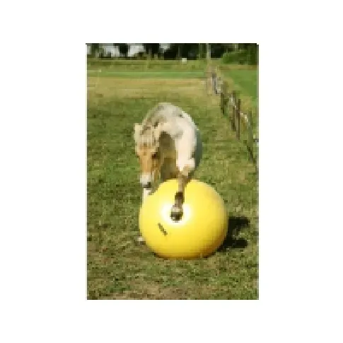 Bilde av best pris Maximus Power Play Ball 100cm 1 st Kjæledyr - Hest - Godbiter og slikker