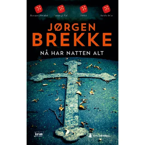 Bilde av best pris Nå har natten alt - En krim og spenningsbok av Jørgen Brekke